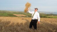 Crying the Neck is a West Country harvest custom where a corn dolly is made from the last sheaf and is hung in church for the year. The origins of [&hellip;]