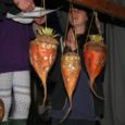 A Punkie is a hollowed-out mangold or manglewurzel with a lit candle inside to make a lantern (very much like the turnip lanterns we made as children for Hallowe’en in […]