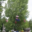 This is definitely not to be confused with the American holiday with the same name! Every year, the black poplar in the centre of Aston-on-Clun is decorated with flags which […]