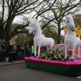 Spalding is the centre of UK bulb growing and each spring celebrates this by hosting the annual Flower Parade of tulip-covered floats interspersed with marching bands, entertainers and jugglers. The […]