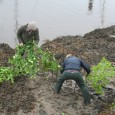 In a unique custom, the Penny Hedge or Horngarth at Whitby is planted in the estuary of the Upper Harbour – it must be completed by 9am on Rogation Wednesday, […]