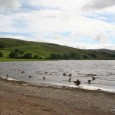 Every August Bank Holiday Sunday a special lakeside service is held on the shores of Semerwater, which coincides with the Flower Festival at Stalling Busk. The vicar of Askrigg takes […]