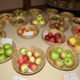 The Big Apple is a relatively recent institution dating back some thirty years, celebrating the long tradition of the apple harvest in Herefordshire, and is one of the best established […]