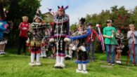 There are ploughing matches for horse and tractor at locations throughout the British Isles, but the event at St Margaret Hope is unique in that the miniature ploughs are powered [&hellip;]