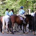 Hyde Park was the setting for an annual cavalcade of around 100 equestrians who gathered for the Horseman’s Sunday service to celebrate riding in the city. Started in 1968, it […]