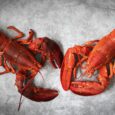 The north coast of Devon is famed for its lobsters and crabs ; each September a Feast is held at Clovelly to celebrate the crustaceans and their local maritime heritage. [&hellip;]