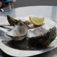 The Mayor and dignitaries host the annual Oyster Feast at Colchester each October in a civic custom dating back several hundred years. It’s a lavish affair and worthy guests, sometimes [&hellip;]