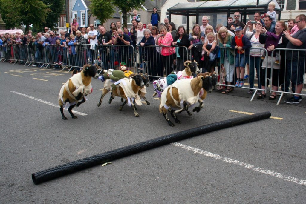 Moffat Sheep Races