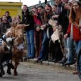 If messing around on the river really isn’t your thing, the City Farm at Spitalfields offered an alternative to the University Boat Race. The Oxford v. Cambridge Goat Race was […]