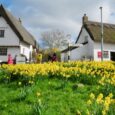 Thriplow in Cambridgeshire is the setting for an annual celebration of the coming of spring, which is a deservedly very popular event that has been a fixture for well over […]