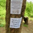 The Deadwater Valley Trust is a conservation charity which looks after a nature reserve full of important habitats in Hampshire, and every June they host a special event in Woolmer […]