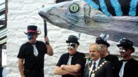 The end of the summer fishing season is marked at Aberaeron on the Welsh coast with a mock funeral for the fish and a light-hearted celebration. A large mackerel puppet [&hellip;]