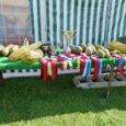 In a rural setting amidst the majestic Lakeland fells, the Underbarrow Marrow Day is a charity fundraising event celebrating that often overlooked staple of the kitchen garden plot, the vegetable [&hellip;]