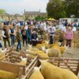 The annual Sheep Fair, held each September at Masham in the Yorkshire Dales, celebrates all things ovine, from competitions for the best animals in show to sheepy cupcakes and woolly [&hellip;]